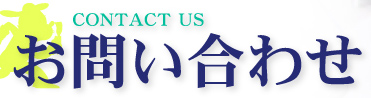 CONTACT US お問い合わせ