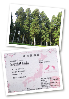 植林事業