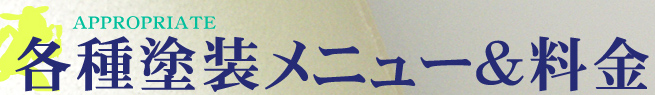 APPROPRIATE 各種塗装メニュー&料金