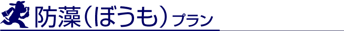 シリコンプラン